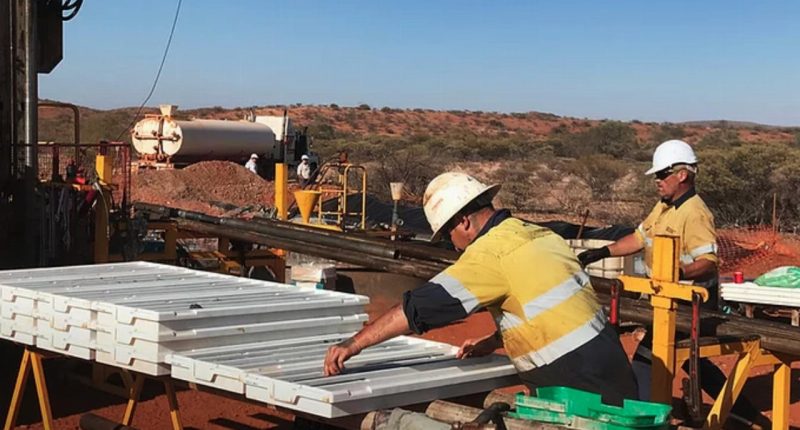 Workers at the Lyons River Project.